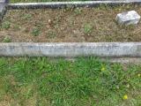 image of grave number 510113
